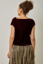 Load image into Gallery viewer, Velvet Cowl Neck Top