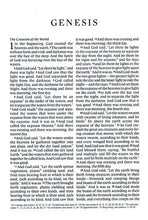 Load image into Gallery viewer, ESV Compact Bible Large Print