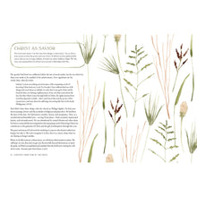 Load image into Gallery viewer, Pilgrim: 25 Ways God’s Character Leads Us Onward