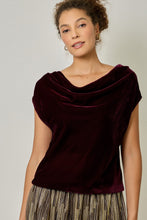 Load image into Gallery viewer, Velvet Cowl Neck Top
