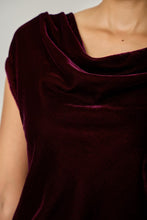 Load image into Gallery viewer, Velvet Cowl Neck Top
