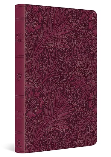 ESV Value Thinline Bible- Large Print