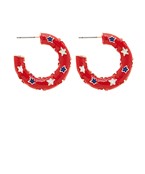 Load image into Gallery viewer, USA Earrings
