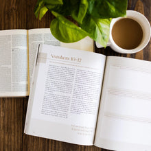 Load image into Gallery viewer, Eden to Eternity | The Chronological Story of Scripture | Volume 1
